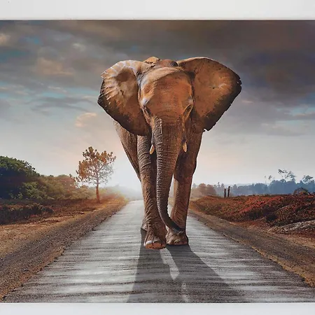 White House Hébergement de vacances